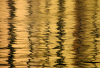 WB_Goldwasser