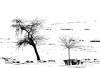 WB_Kleinvach