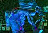 WB_Pferd 1