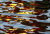 WB_Spreewellen 1