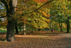 WB_Treptower Park
