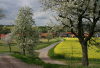 WB_Weg nach Kleinvach