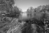 WB_am See